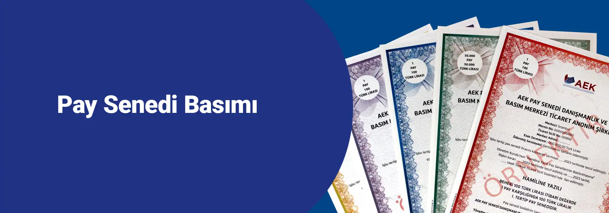 Pay Senedi Basımı
