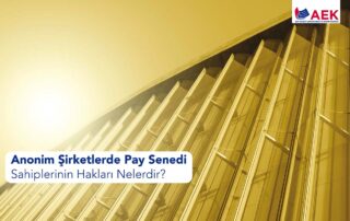 Pay Senedi Sahibinin Hakları