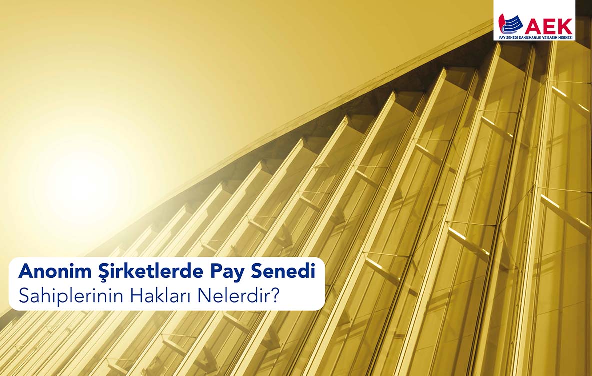 Pay Senedi Sahibinin Hakları