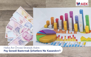 Halka Arz Öncesi Pay Senendi Basımı