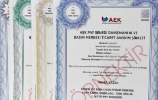 Nama Yazılı Pay Senedi