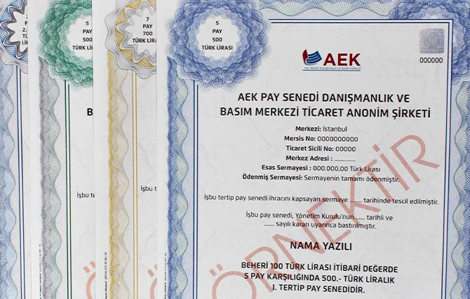 Nama Yazılı Pay Senedi