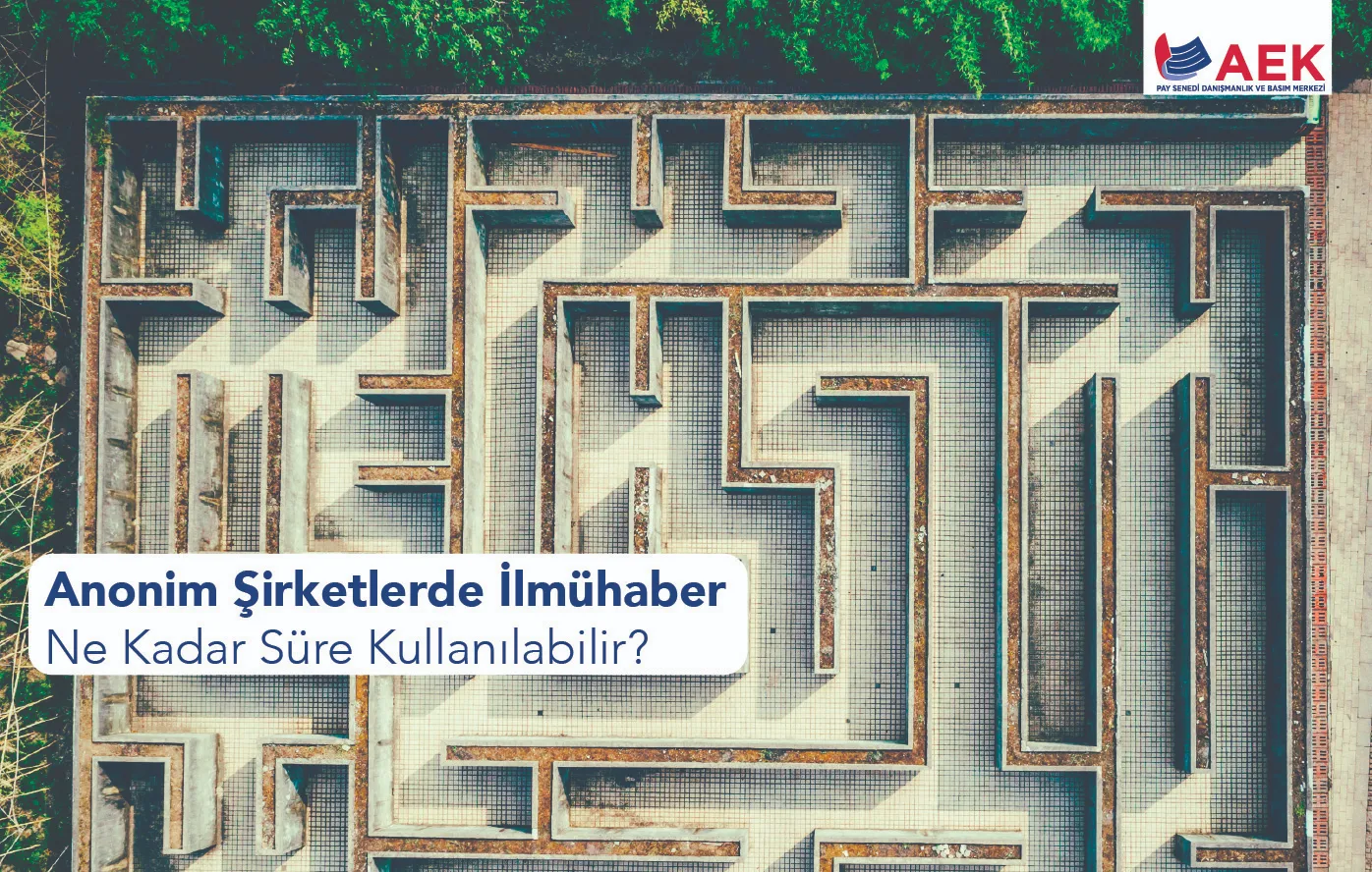 Anonim Şirketlerde İlmühaber