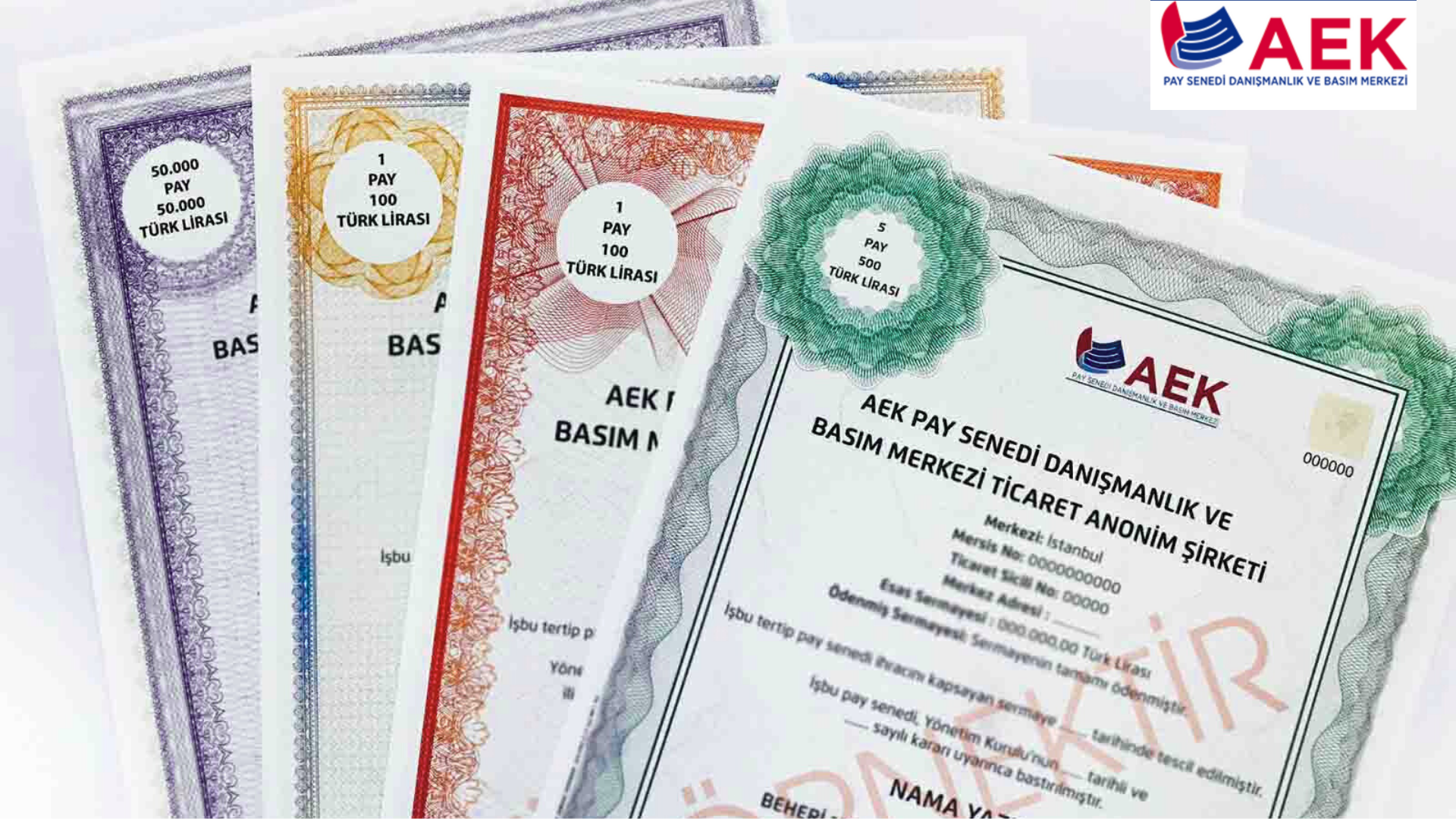 anonim-sirketlerde-nama-yazili-hisse-senedi-uygulamasi-ve-basim-surecleri