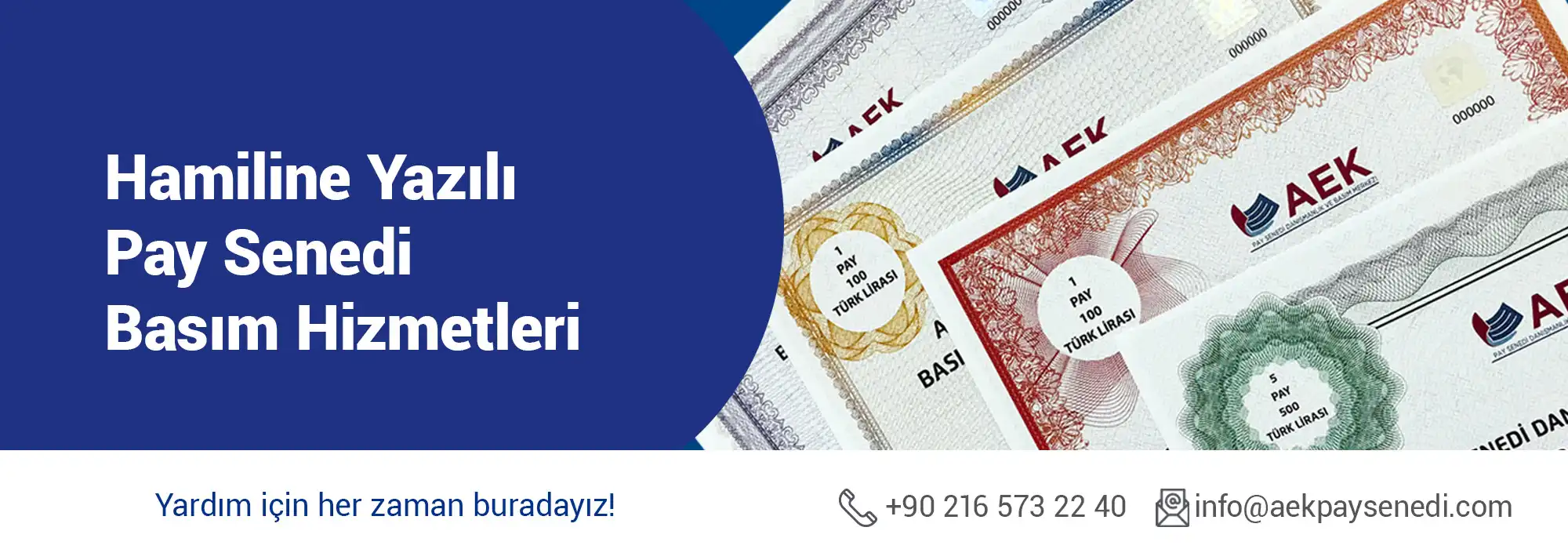 Hamiline yazılı hisse senedi